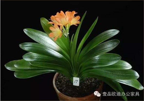 輕松解決辦公室內(nèi)各種污染！