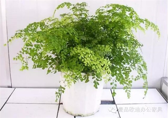 輕松解決辦公室內(nèi)各種污染！