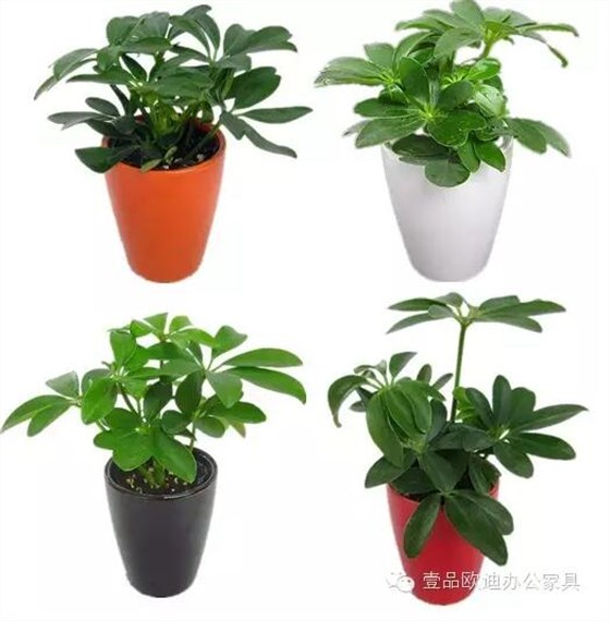 輕松解決辦公室內(nèi)各種污染！