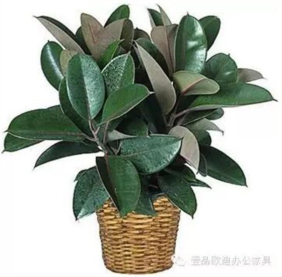 輕松解決辦公室內(nèi)各種污染！