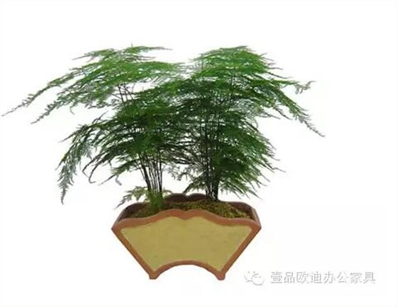 輕松解決辦公室內(nèi)各種污染！