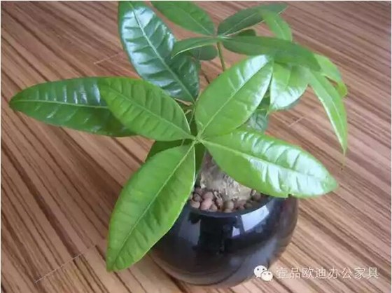 輕松解決辦公室內(nèi)各種污染！