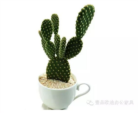 輕松解決辦公室內(nèi)各種污染！